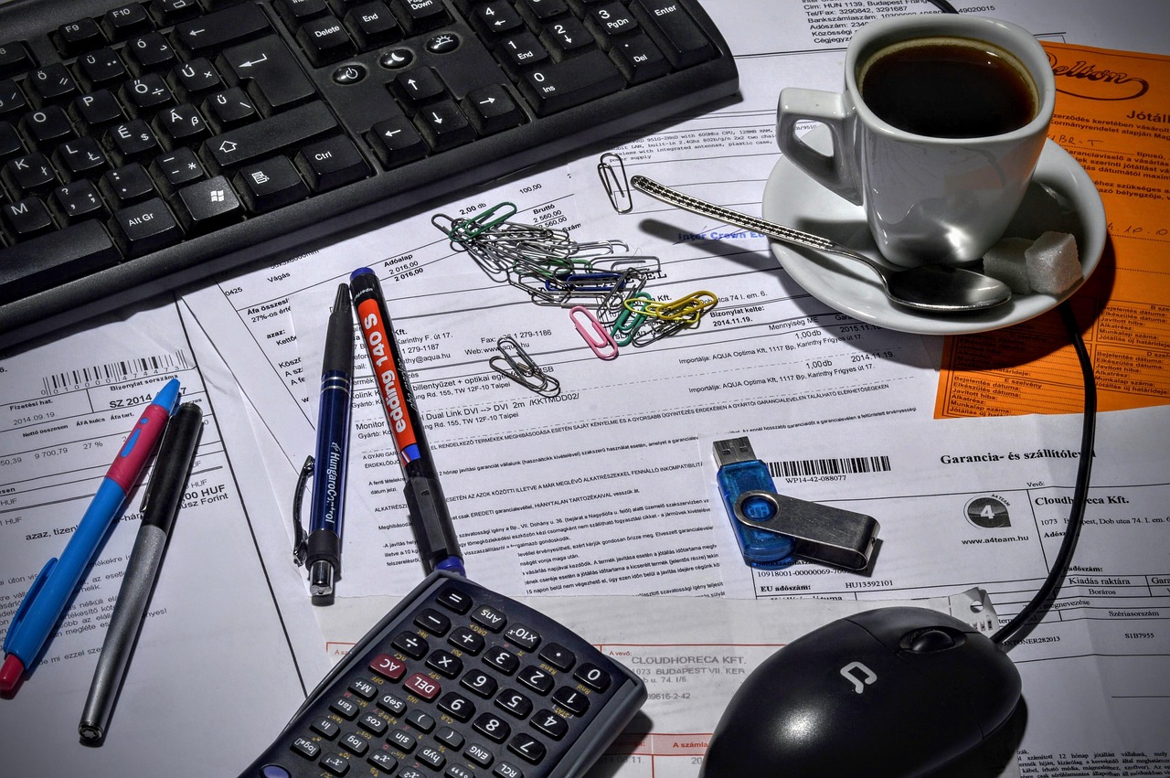 due diligence accountant paperwork review